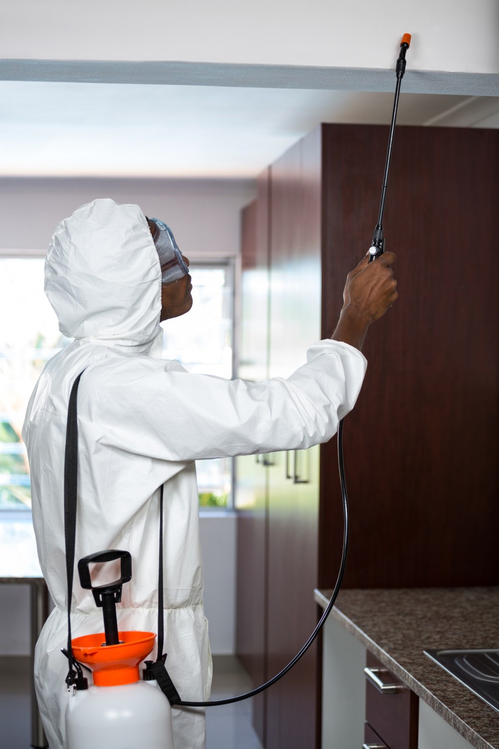 Conseiller formation Certibiocide à votre écoute